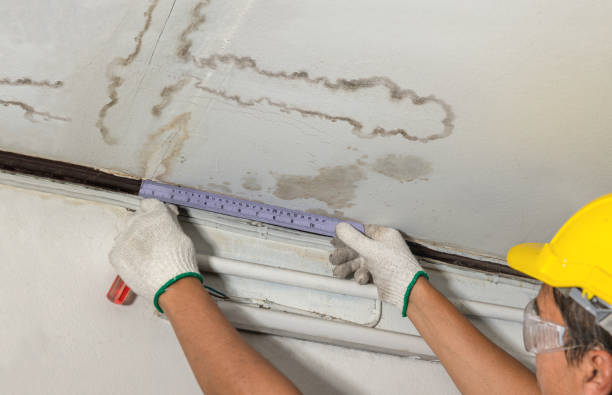 Reliable Water Damage Repair contractor in Harmony, ME by Hirex Water Damage
